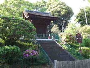 violet azaleas in front of Yonkyakumon