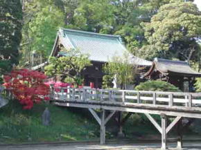 red azaleas blooming beside Yonkyakumon