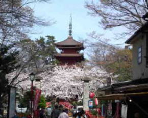 Nakayama Hokekyoji in Spring