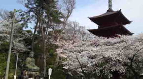 Nakayama Daibutsu and the pagoda