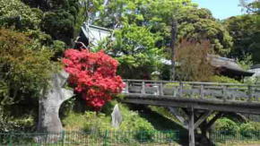 Yonsokumon Gate and Hokkedo Hall