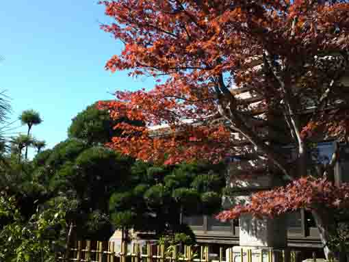 fall in Genmyosan Hongyoin Temple