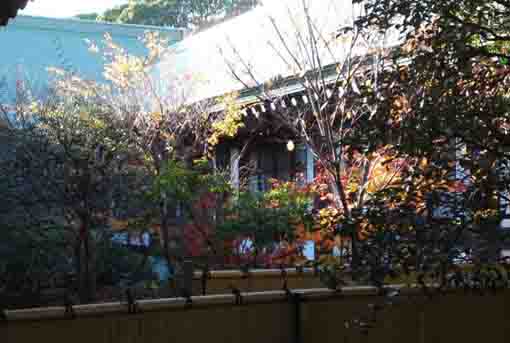 the courtyard in Hokekyo-ji Temple