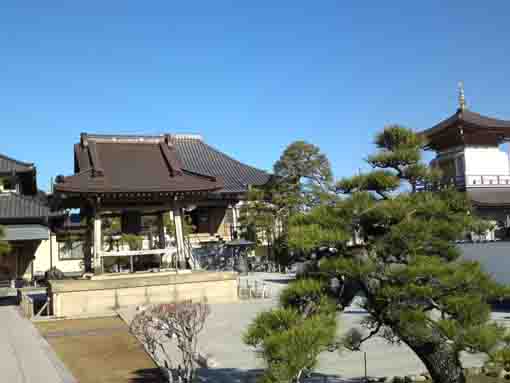 the buildings in Honjoji Temple