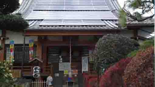 Koinsan Honkoji Temple