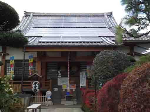 the main hall of Honkoji Temple