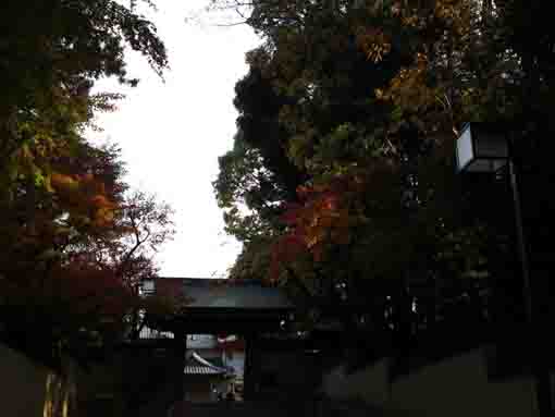 the gate of Hosenin in fall