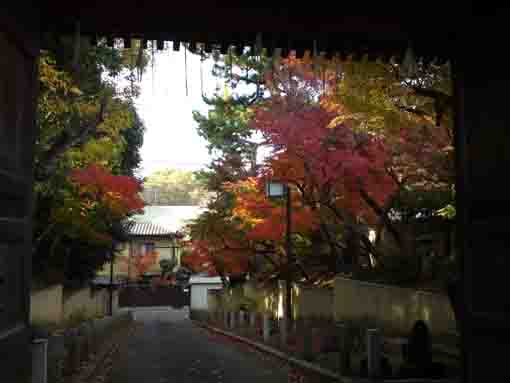 法宣院参道の紅葉