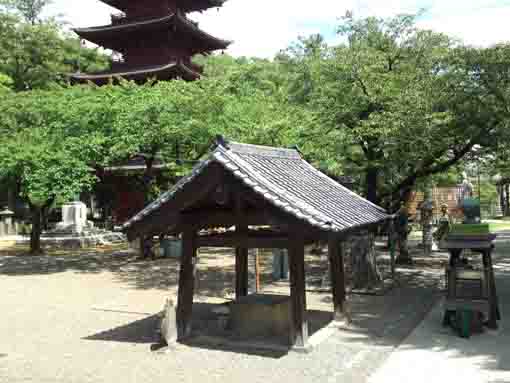 法華経寺五重塔と星の井