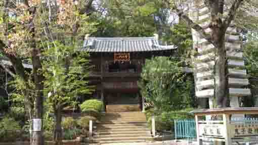 Houden-mon gate in Hokekyo-ji