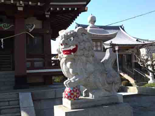 a komainu in Ikazuchi Jinja