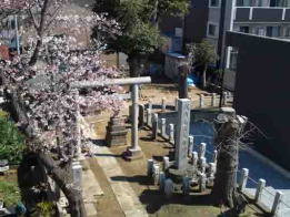 Irihi Jinja Shrine in Funabashi