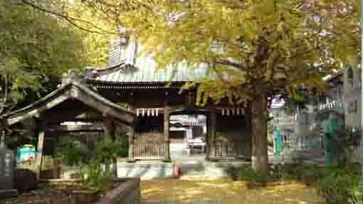 大野山浄光寺