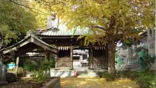 Onosan Jokoji Temple