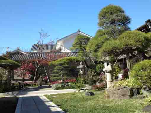 the garden in Honkosan Joryuji Temple