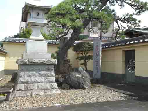 a pain tree and a night light in Jounji 