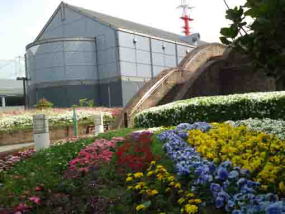 flowers and the Industrial Museum