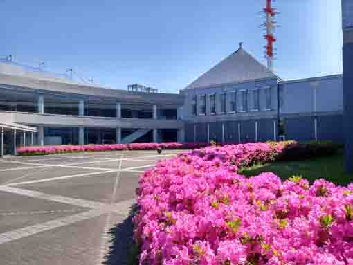令和３年ツツジの花咲く千葉県立産業科学館