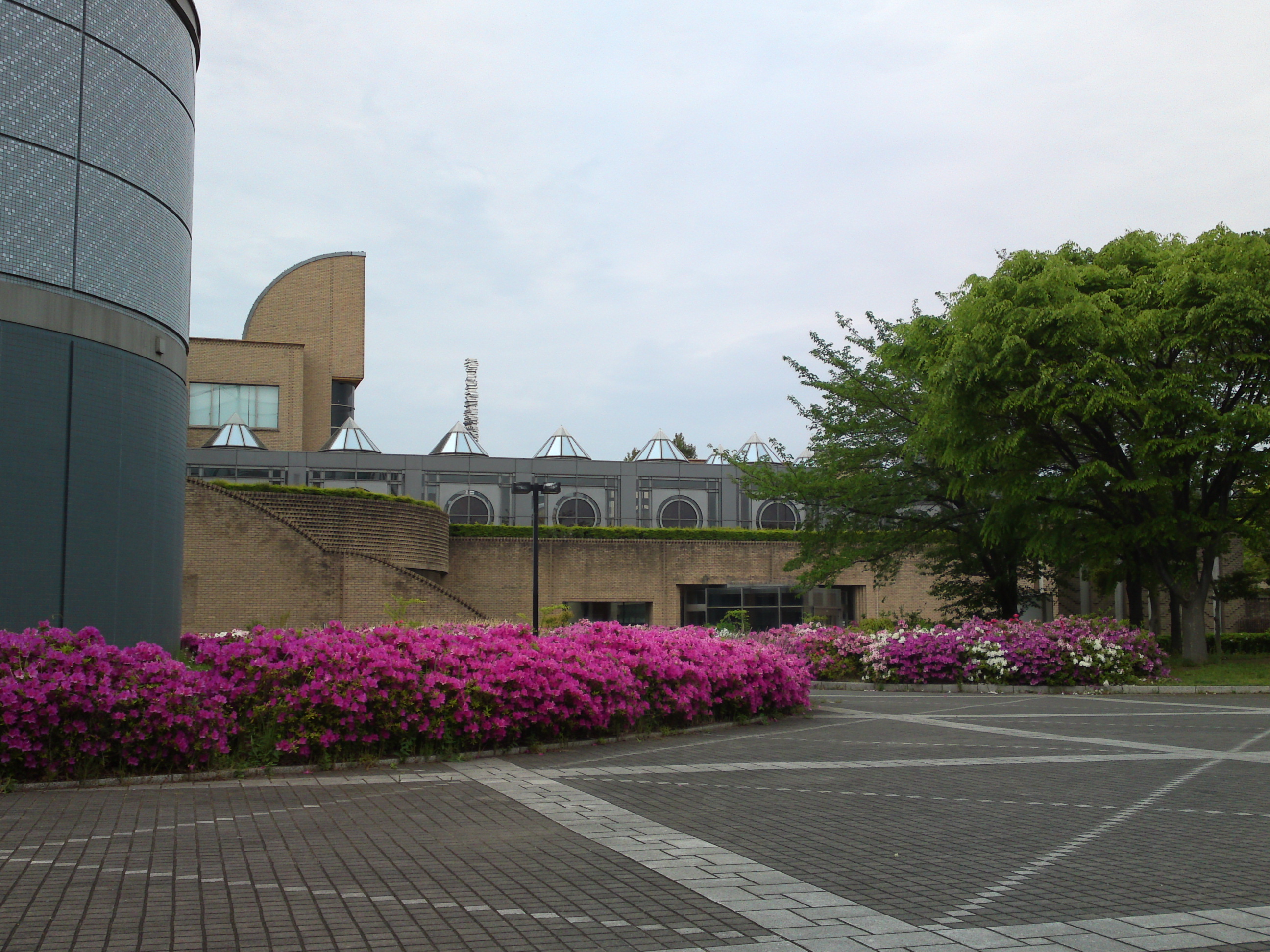 2015年ツツジの名所産業科学館２