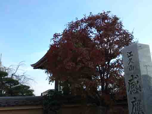 the bell tower of Kannouji