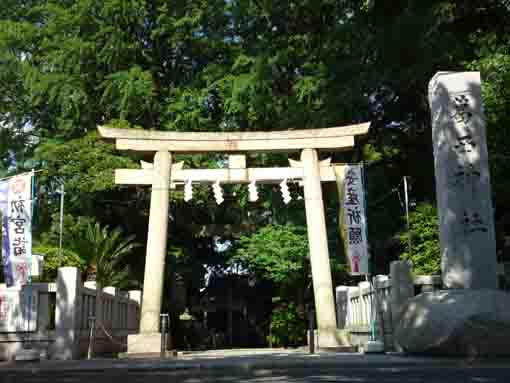the torii gate of Kasai Jinja