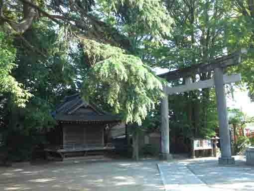 葛西神社の鳥居と神楽殿