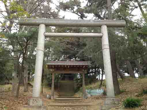 the torii gate of Kasuga Jinja Shrine