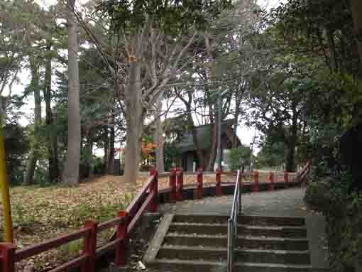 春日神社の秋の風景