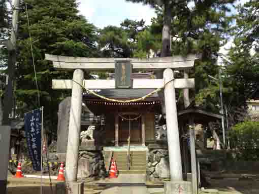Kasuga Jinja Shrine in Shinden Ichikawa