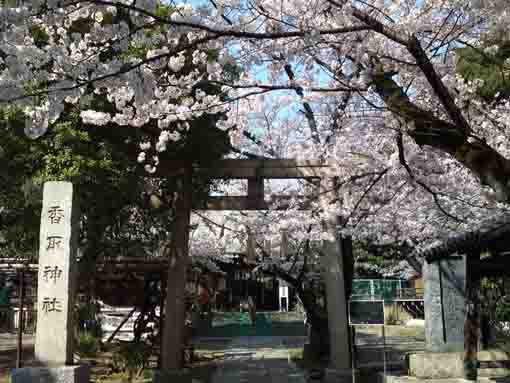 Shinkoiwa Katori Jinja