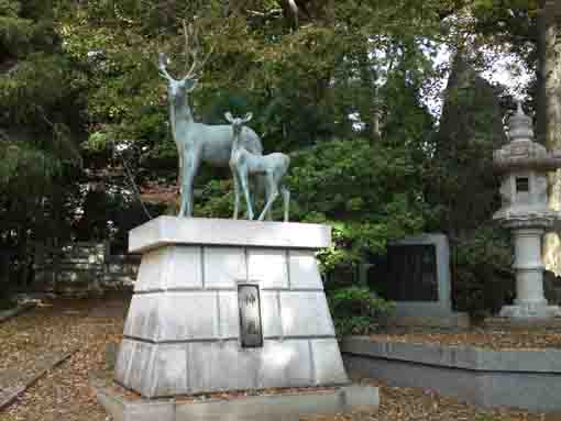 鹿島神社 可愛らしい狛犬と鹿の像の鎮座する由緒ある鹿骨の鎮守