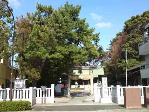 江戸川区鹿骨の鹿島神社