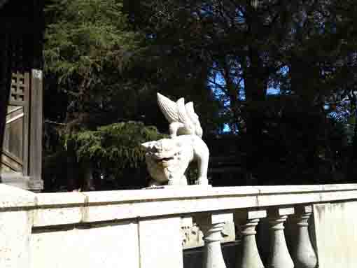 鹿骨鹿島神社の狛犬