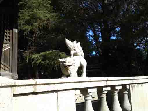 the Komainu in Kashima Jinja Shrine