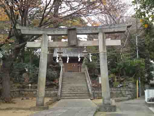 the torii gate in Katsushika Jinja