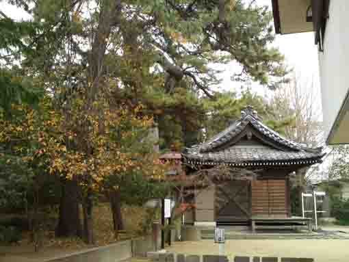 the main hall of Katsushika Jinja