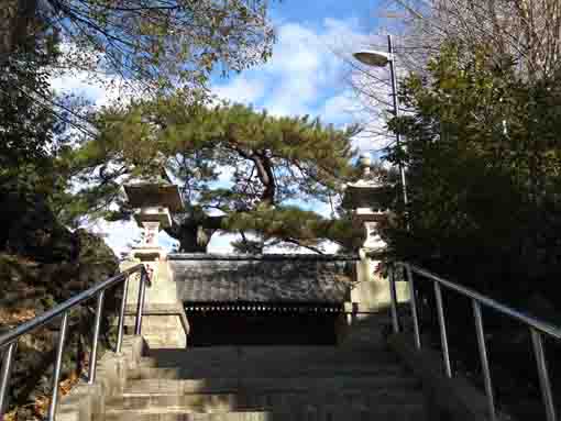 the approach steps in Katsushika Jinja