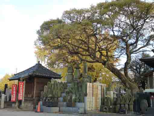 the stone tower in Kezoin Urayasu