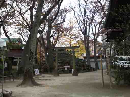 Fujizuka in Seiryu Jinja in Urayasu