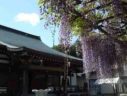 the main hall of Miyakubosan Koenji