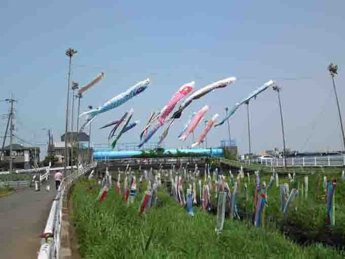 carp streamers along Kokubungawa