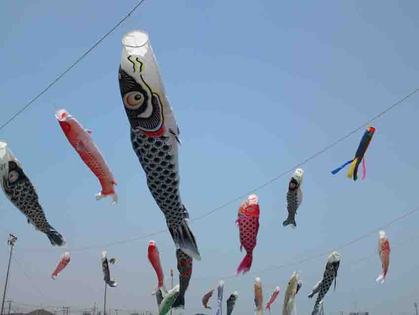 carp streamers in the blue sky