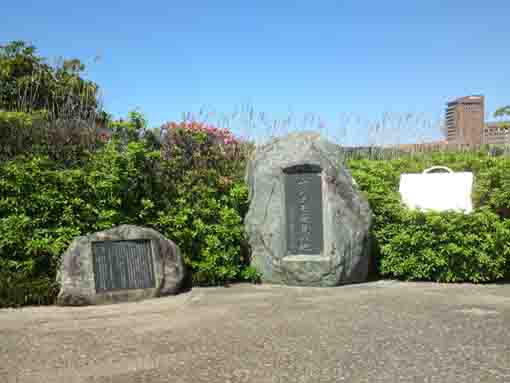 stone monuments of Mujinamo