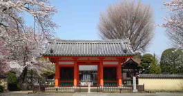 Shimousa Kokubunji Temple in spring