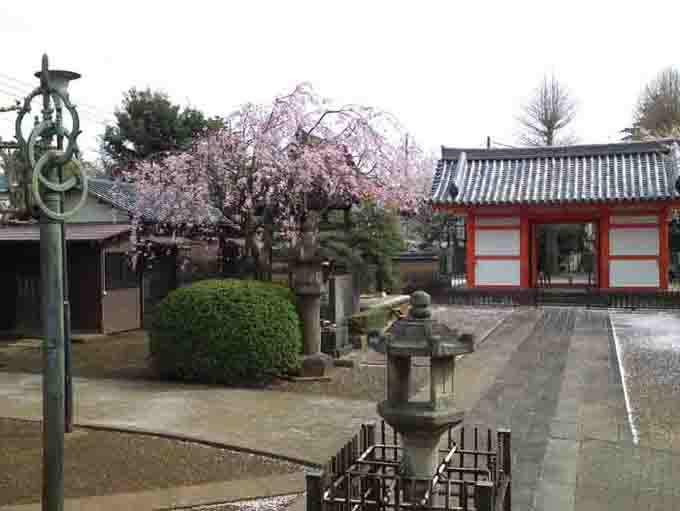 the bell tower in Kokubunji