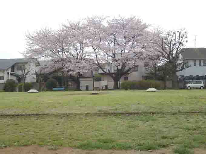 the remains of Shimousa Kokubunniji