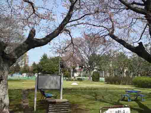 the view of Shimousa Kokubunniji Ato Park