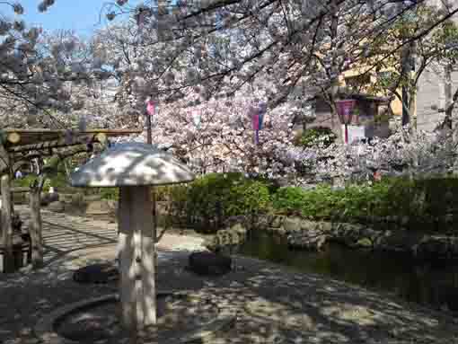 Komatsugawa Sakaigawa Water Park