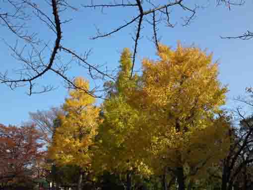 Komatsugawa Sakaigawa Water Park