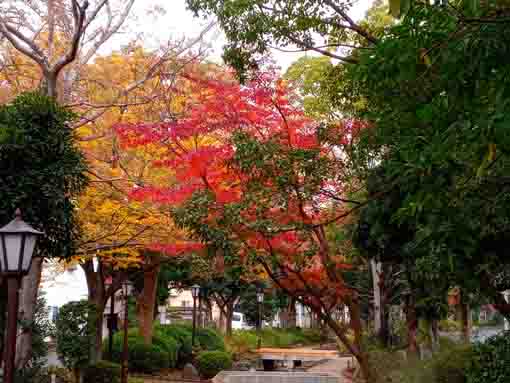 Komatsugawa Sakaigawa Water Park